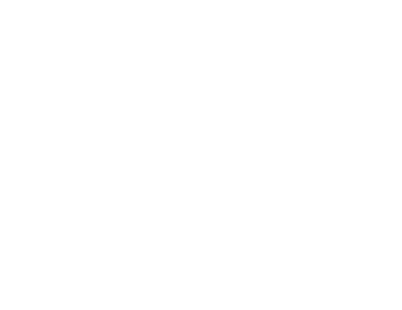 African American Marketing Association